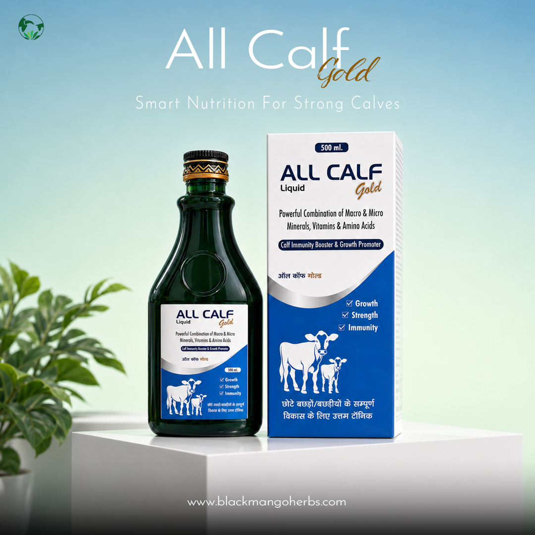 Vet Calf
