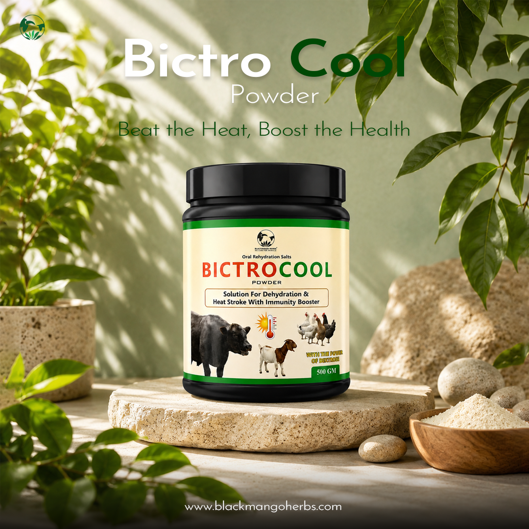 Bictro Cool