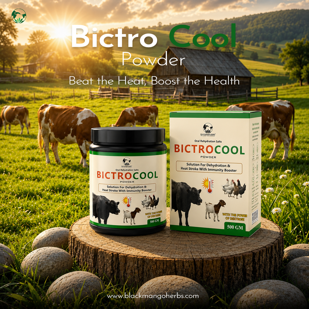 Bictro Cool In Field