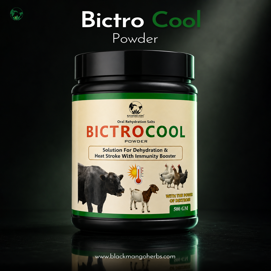 Bictro Cool View 4
