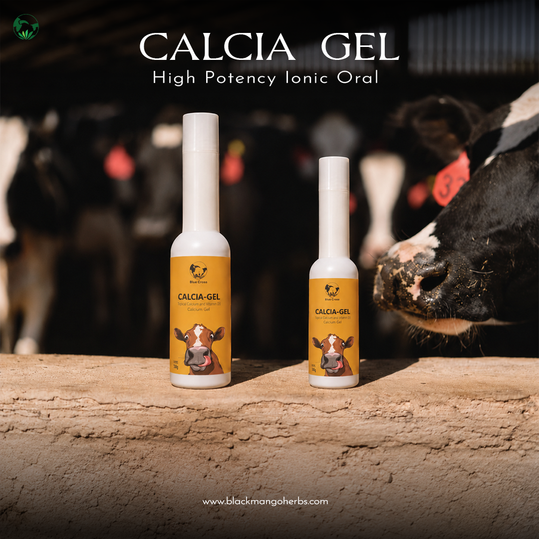 Calcia Gel View 3