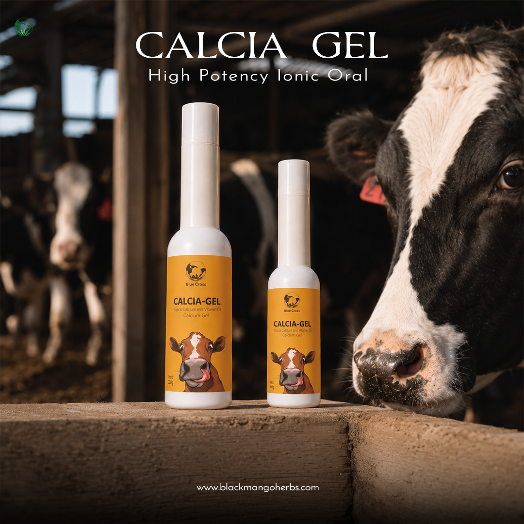 Calcia Gel View 4