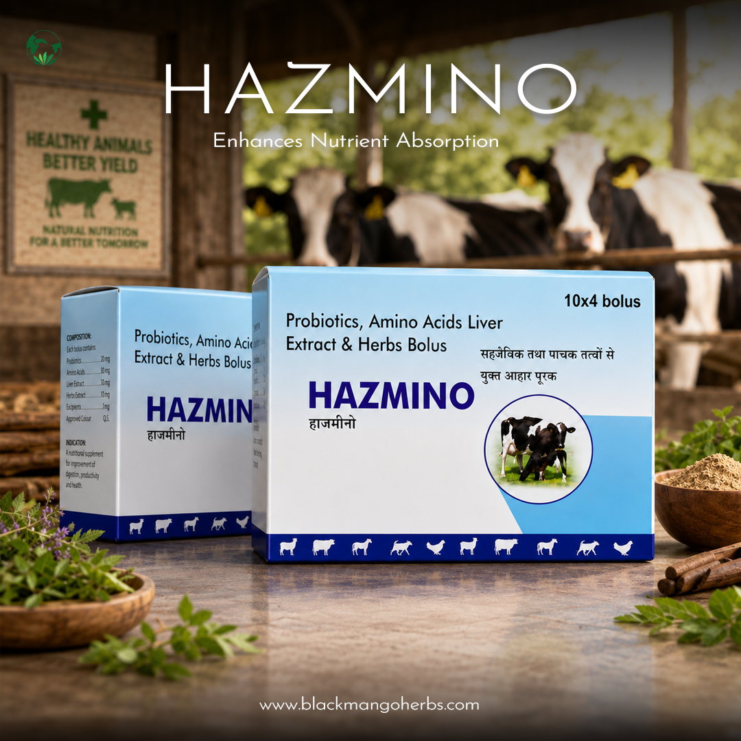 Hazmino In Field