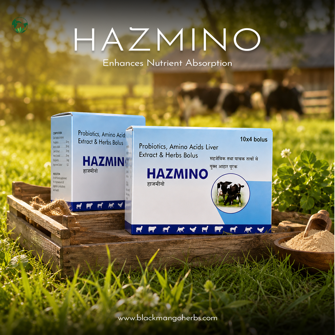 Hazmino View 3