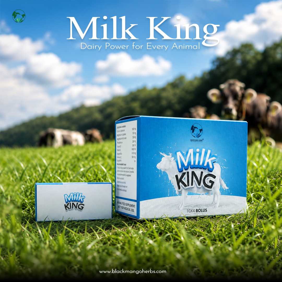 Milk King View 3