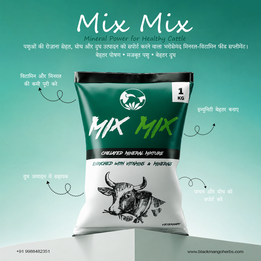 Mix Mix