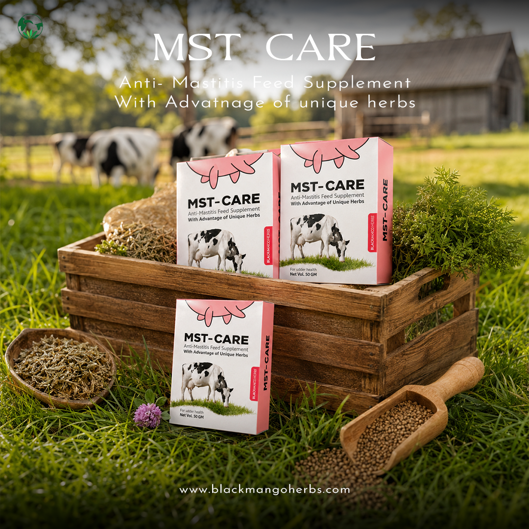 MST-Care In Field