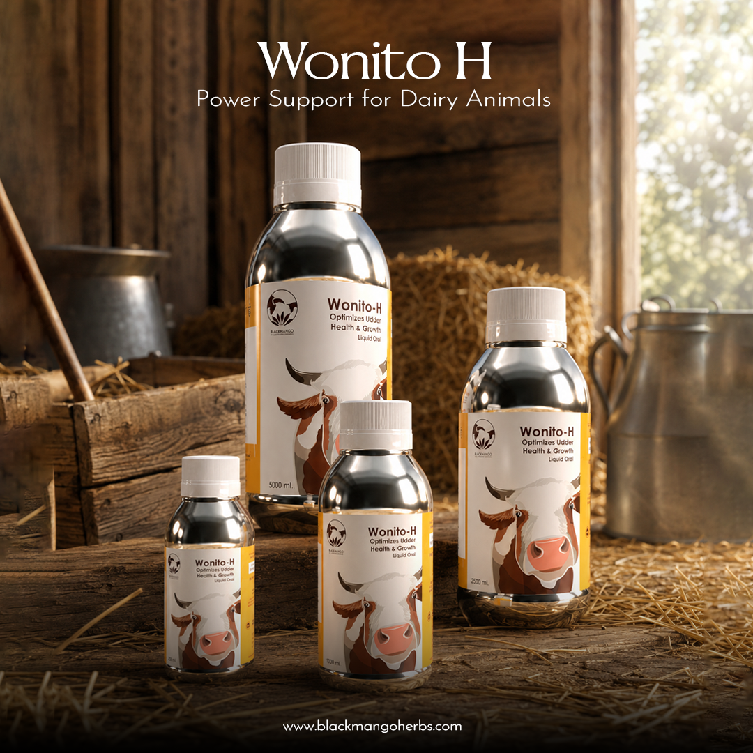 Wonito-H Gold View 3